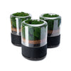 Briiv Luchtreiniger Triple Pack